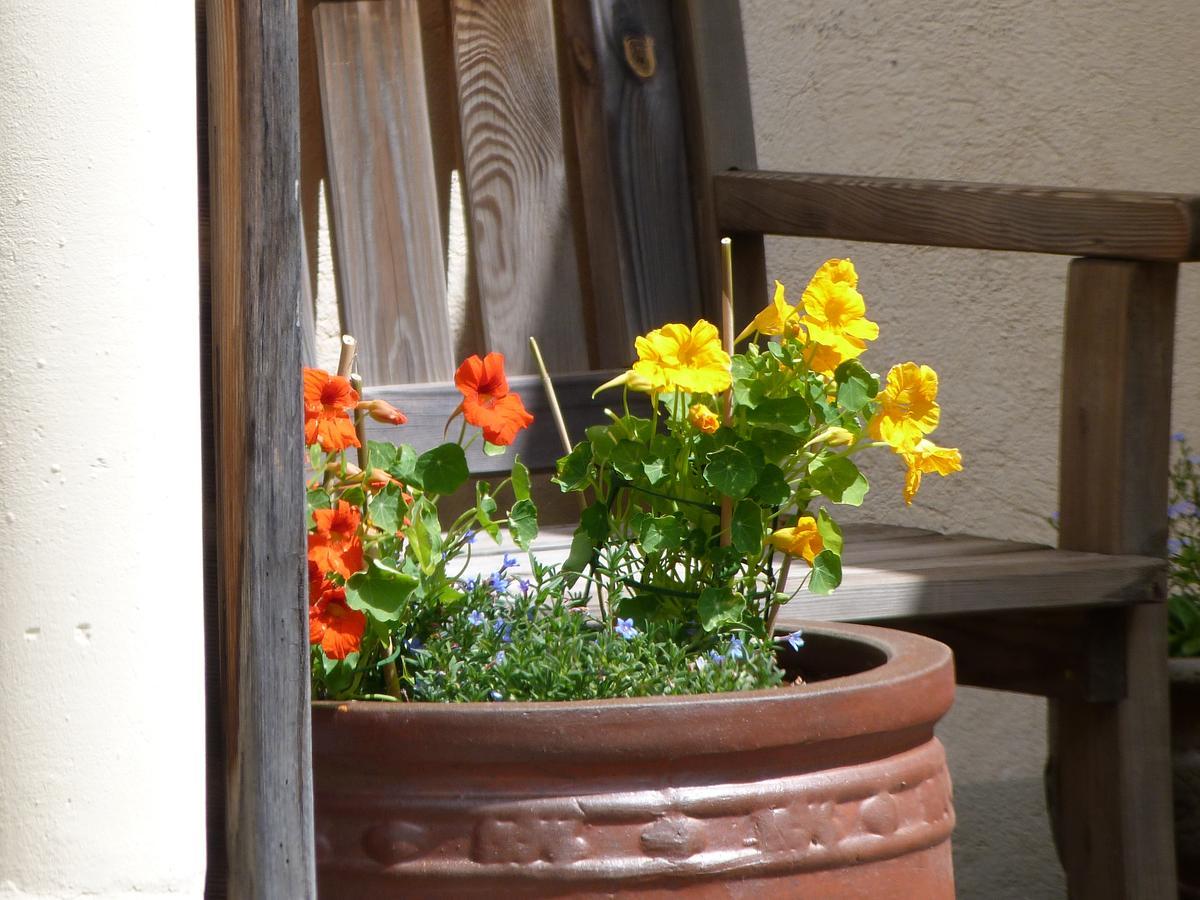 B&B Au Delà du Temps Saint-Mamet Extérieur photo